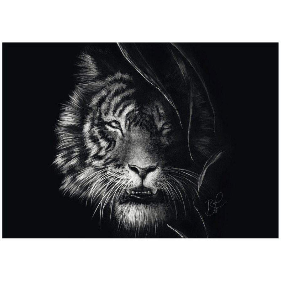 Tiger - Ashley Rader  - puzzle of 1000 pieces-2