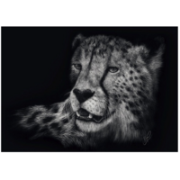 thumb-Cheetah - Ashley Rader  - puzzle of 1000 pieces-2