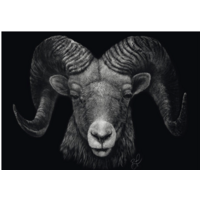 thumb-Aries - Ashley Rader  - puzzle of 1000 pieces-2