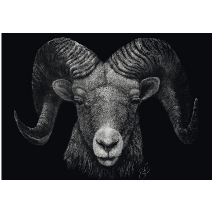 Ram - Ashley Rader - puzzel van 1000 stukjes-2