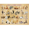 Eurographics Puzzles Yoga is a Family Activity - 500XL pieces - jigsaw puzzle