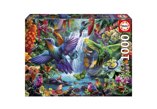  Educa Colibris Tropicaux - 1000 pièces 