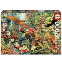 Les oiseaux de l'Amazonie - puzzle de 2000 pièces