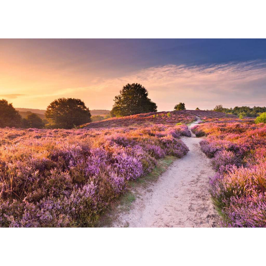 Roze pad - puzzel van  1000 stukjes-2