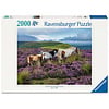 Ravensburger Chevaux sauvages dans la lande - puzzle de 2000 pièces