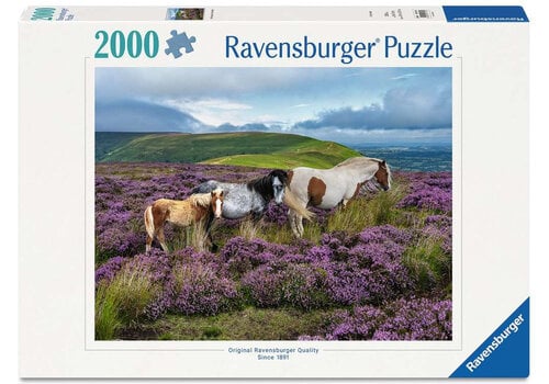  Ravensburger Chevaux sauvages dans la lande - 2000 pièces 