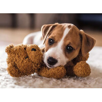 thumb-Cuddly Buddies - puzzel van 500 stukjes-2