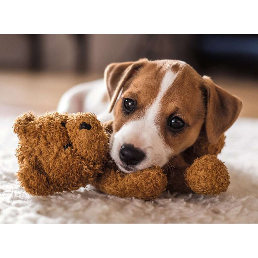 Cuddly Buddies - puzzel van 500 stukjes-2