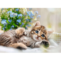 thumb-Adorable Chaton - puzzle de 500 pièces-2