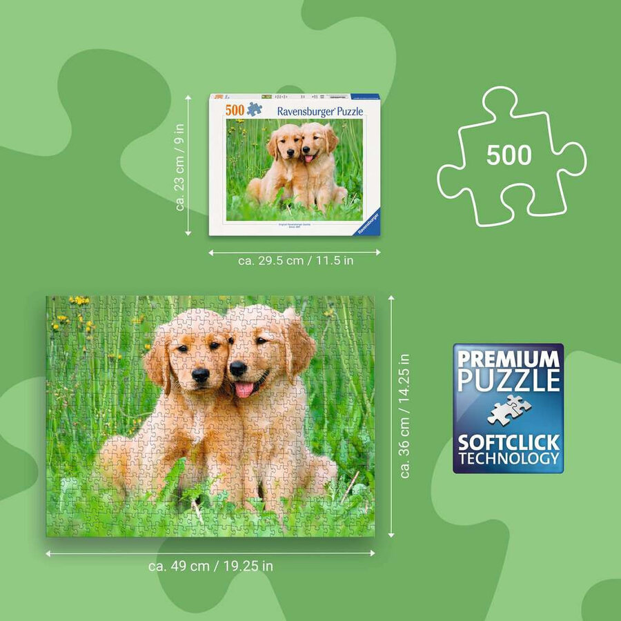 Golden Retriever Brothers - jigsaw puzzle of 500 pieces-3
