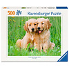 Ravensburger Golden Retriever Brothers - jigsaw puzzle of 500 pieces