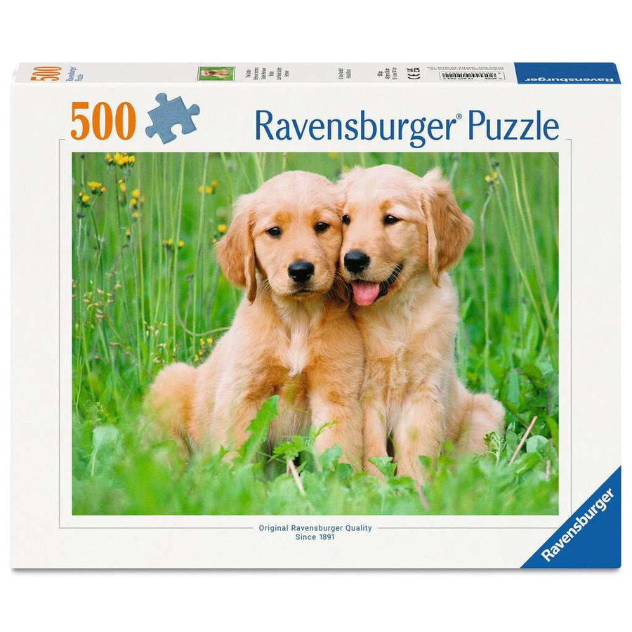 Golden Retriever Broers - puzzel van 500 stukjes-1