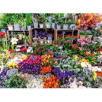 thumb-Marché aux Fleurs, France - Colorful Markets - puzzle de 500 pièces-2