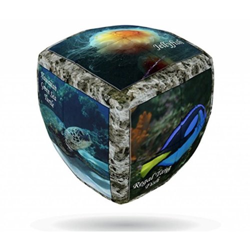  V-Cube V-2 Sea World - Cube 