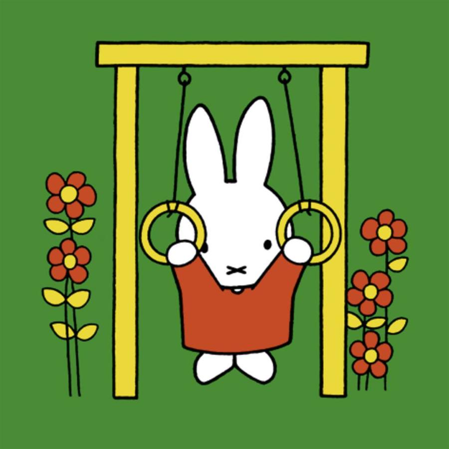 Miffy - Puzzles 2, 3, 4 and 5 pieces-2