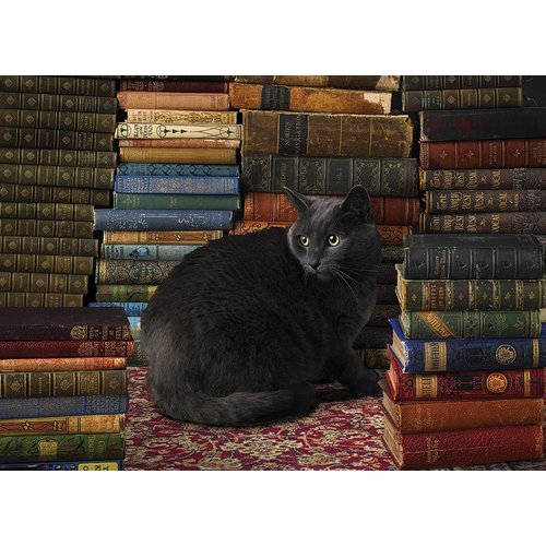  Cobble Hill Cat between the books - 1000 pieces 