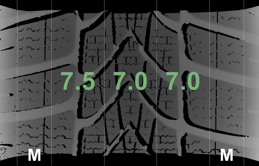 BMW BMW 2 serie F45 F46 Active Gran Tourer 474 16 inch Dunlop Winterbanden Origineel