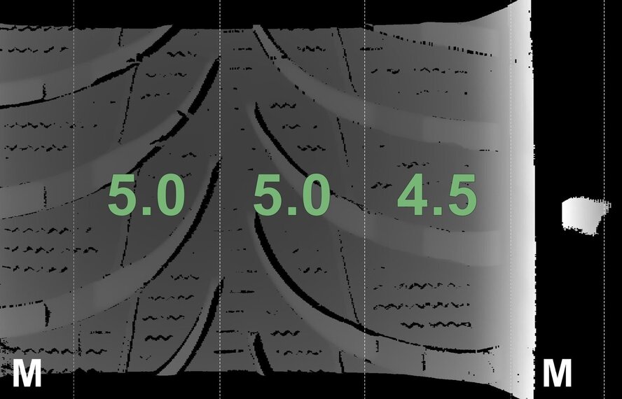 BMW BMW i3 I01 428 19 inch velgen Bridgestone Winterbanden Origineel