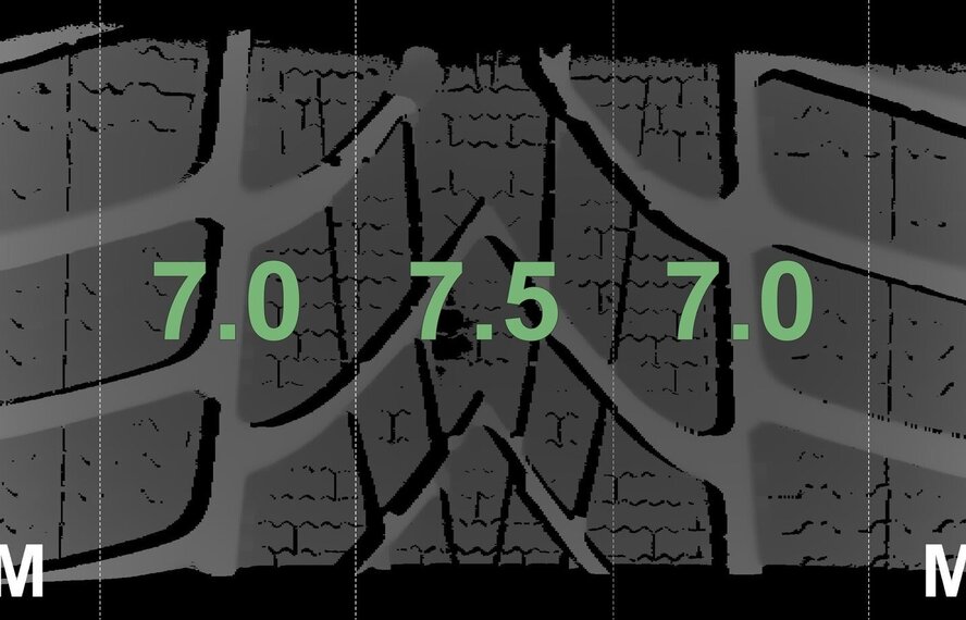 BMW BMW 3 4 serie F30 F31 F32 F33 F36 395 17 inch velgen Dunlop Runflat Winterbanden Origineel