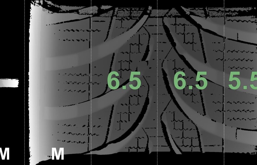 BMW BMW i3s 428 19 inch velgen Bridgestone Winterbanden Origineel