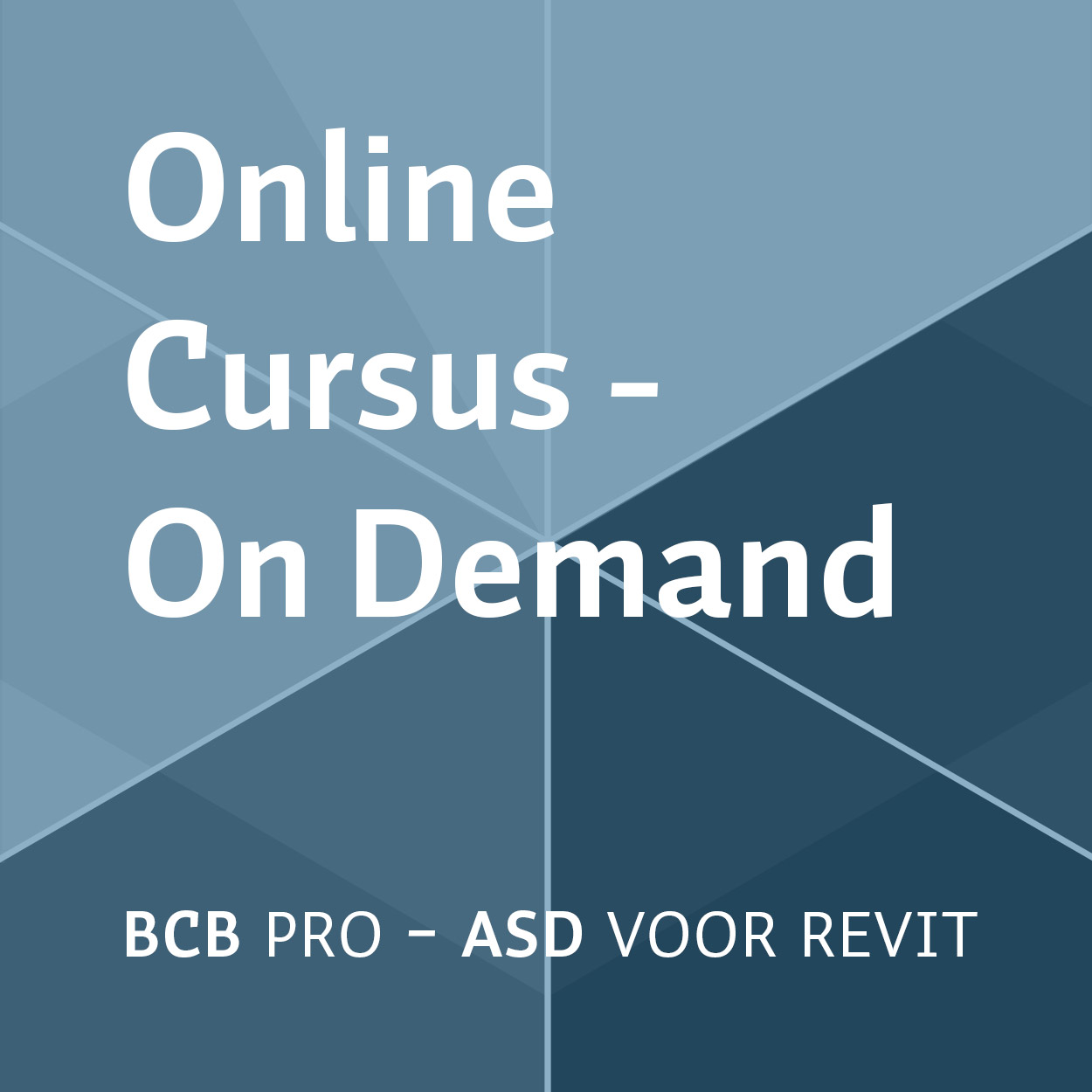 Online cursus - On Demand: BCB Pro met ASD voor Revit | 6 maanden