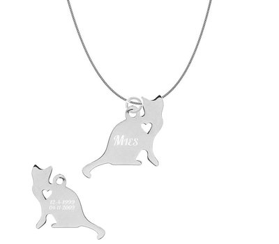 Sieraden met dieren Ketting met hanger Poes Zittend