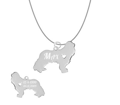 Sieraden met dieren Ketting met hanger Spaniël