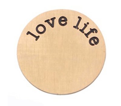 Floating locket discs Memory locket disk Love Life rose goudkleurig XL