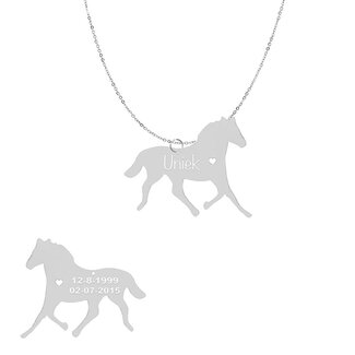 Ketting met hanger Paard