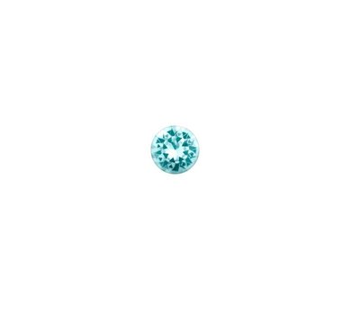 Floating Charms Floating charm rond klein december voor de memory locket