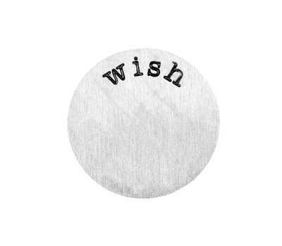 Floating locket discs Memory locket disk wish zilverkleurig