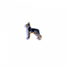 Floating Charms Floating charm zwarte Duitse dog goudkleurig