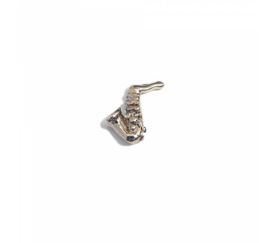 Floating Charms Floating charm saxofoon  voor de memory locket