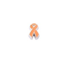 Floating Charms Floating charm orange ribbon