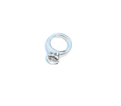 Floating Charms Floating charm ring met steen zilverkleurig voor de memory locket