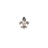 Floating Charms Floating charm Fleur De Lis zilverkleurig voor de memory locket