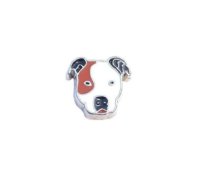 Floating Charms Floating charm Pitbull voor de memory locket