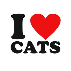 Clicks Click I love cats