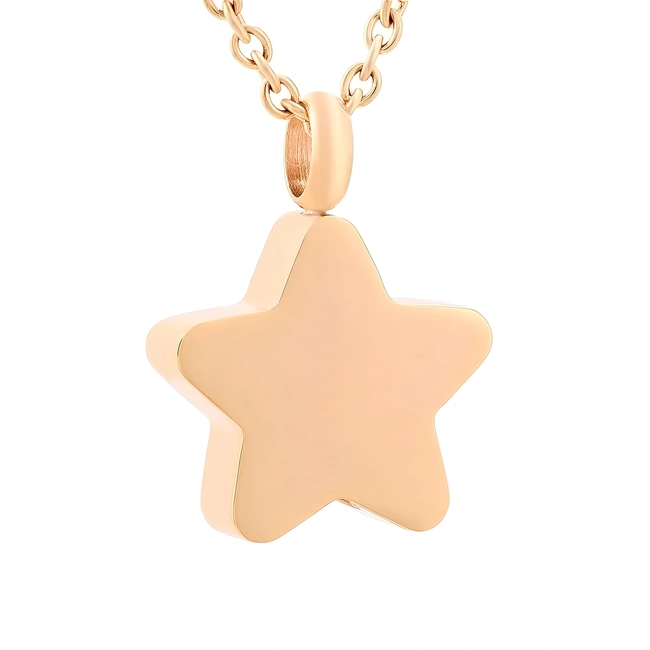 Ashanger ster goudkleurig inclusief ketting