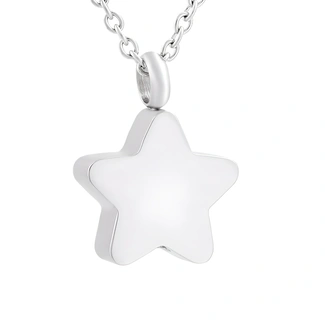 Ashanger ster zilverkleurig