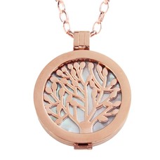 Complete Muntketting Blue Pearl Family Tree Rose Goudkleurig