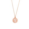 Ketting met letter Letter Ketting Crystal Y rose goudkleurig van roestvrij staal.