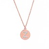 Ketting met letter Letter Ketting Crystal Z rose goudkleurig van roestvrij staal.