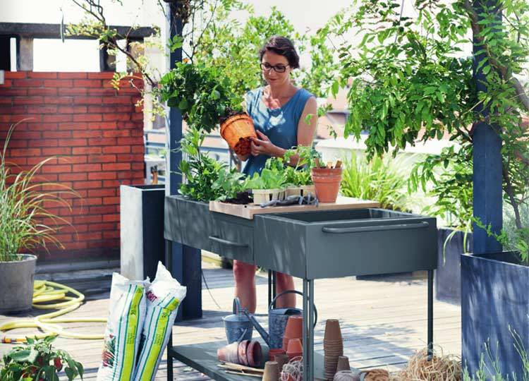 Tuin van de toekomst