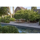 4 Seasons Outdoor Levi stapelbare dining stoel teak incl. 2 kussens