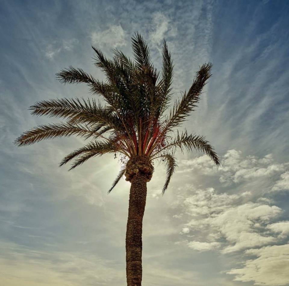 VAKANTIE