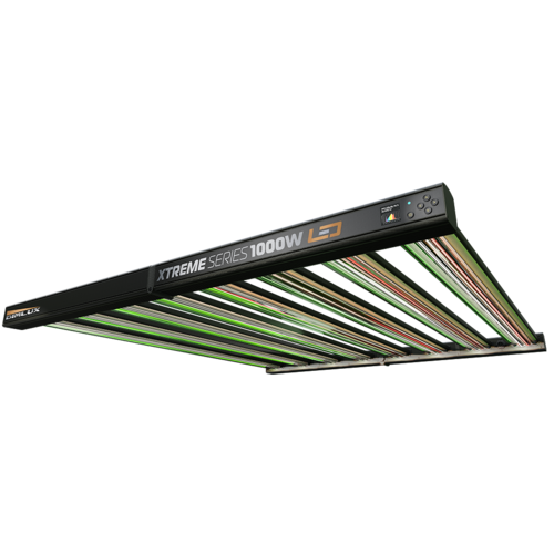 DimLux Xtreme Series LED 1000W 