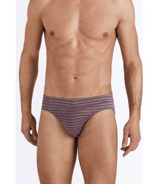 Sporty Stripe Briefs Granite/Bordeaux Stripe (SALE)