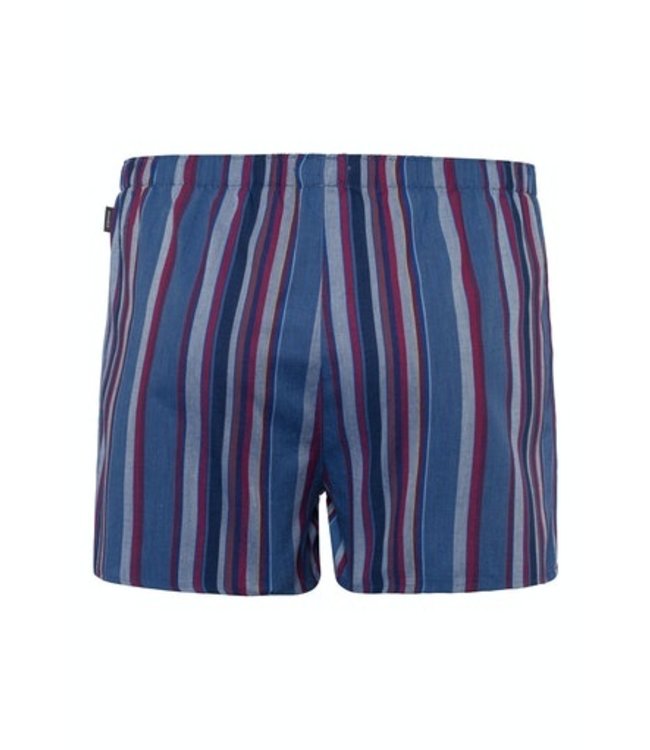 Fancy Woven Boxer Fading Blue Stripe (074013)