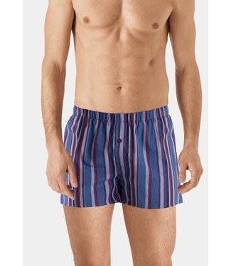 Fancy Woven Boxer Fading Blue Stripe